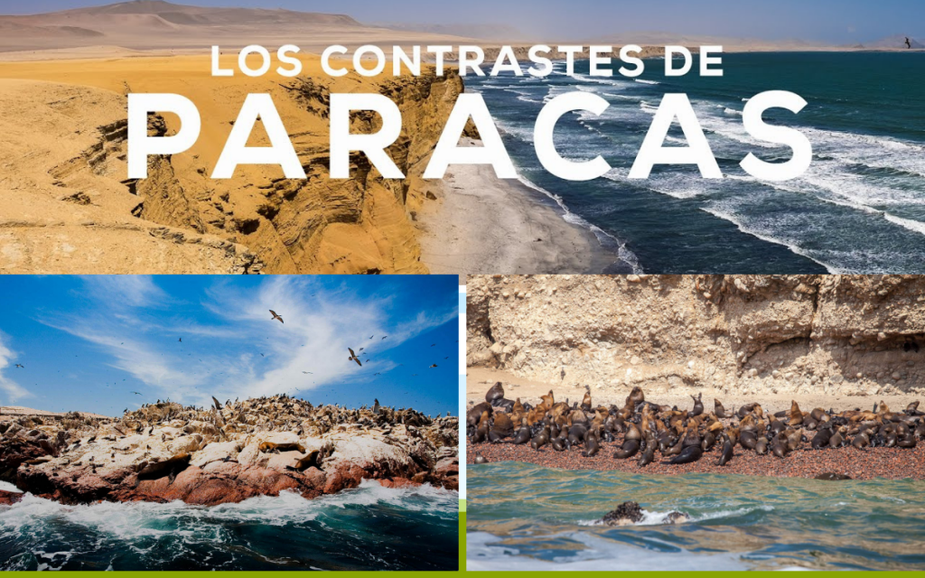Paracas Peru