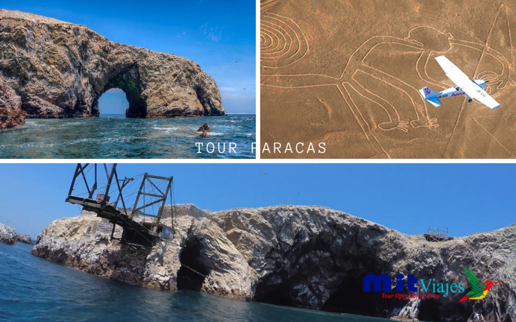 Paracas nasca